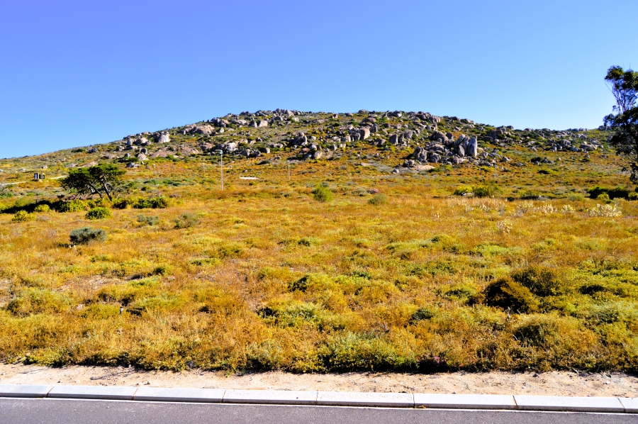 0 Bedroom Property for Sale in Steenbergs Cove Western Cape